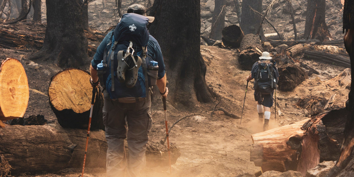 Is Garrett Ace 400 the Best Metal Finder? Fisher vs. Garrett