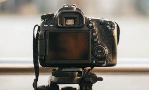 Best Bridge Camera Reviews