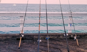 Best Fishing Rods: Berkley Cherrywood HD vs. Abu Garcia Vendetta vs. Shimano