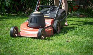 Best GreenWorks Self-Propelled Lawn Mowers: GreenWorks 25142 vs. 25302 vs. 25022