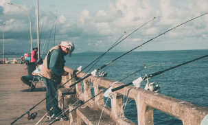 Best Saltwater Spinning Reels for the Money: Penn vs. Shimano