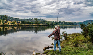 Best Shimano Spinning Reels