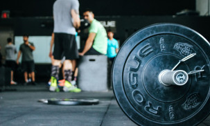 Best Weight Bench