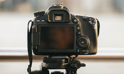 Best Bridge Camera Reviews