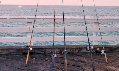 Best Fishing Rods