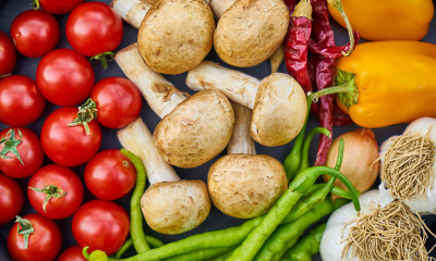 Best Food Processors