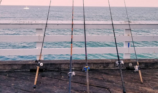 Best Fishing Rods: Berkley Cherrywood HD vs. Abu Garcia Vendetta vs. Shimano