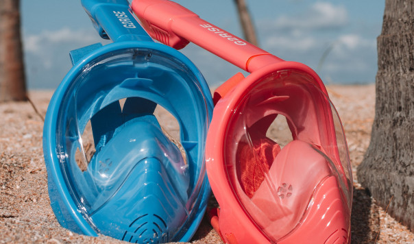 Full Face Snorkel Mask Reviews: Wildhorn Seaview 180 vs. Tribord Subea