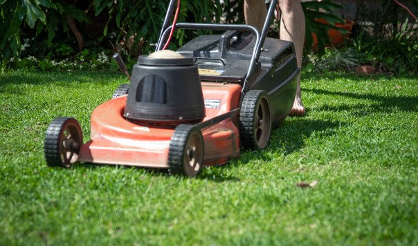 Best GreenWorks Self-Propelled Lawn Mowers: GreenWorks 25142 vs. 25302 vs. 25022