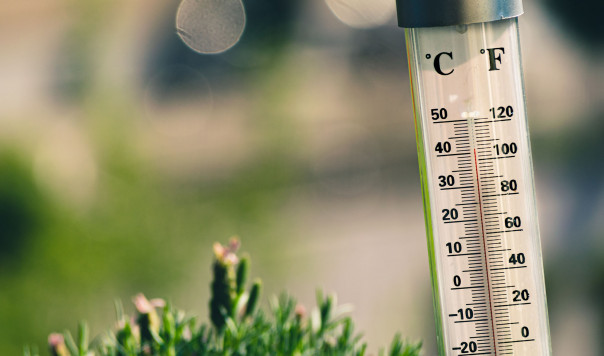 What is the Best Outdoor Thermometer: ThermoPro vs. La Crosse vs. Bjerg Instruments