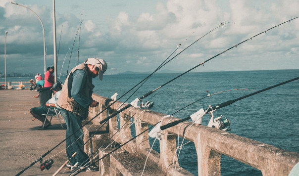 Best Saltwater Spinning Reels for the Money: Penn vs. Shimano