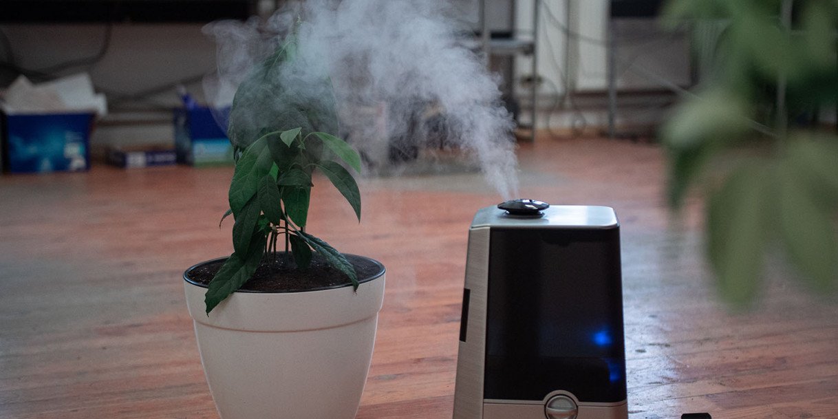 Are Humidifiers Good for Babies?
