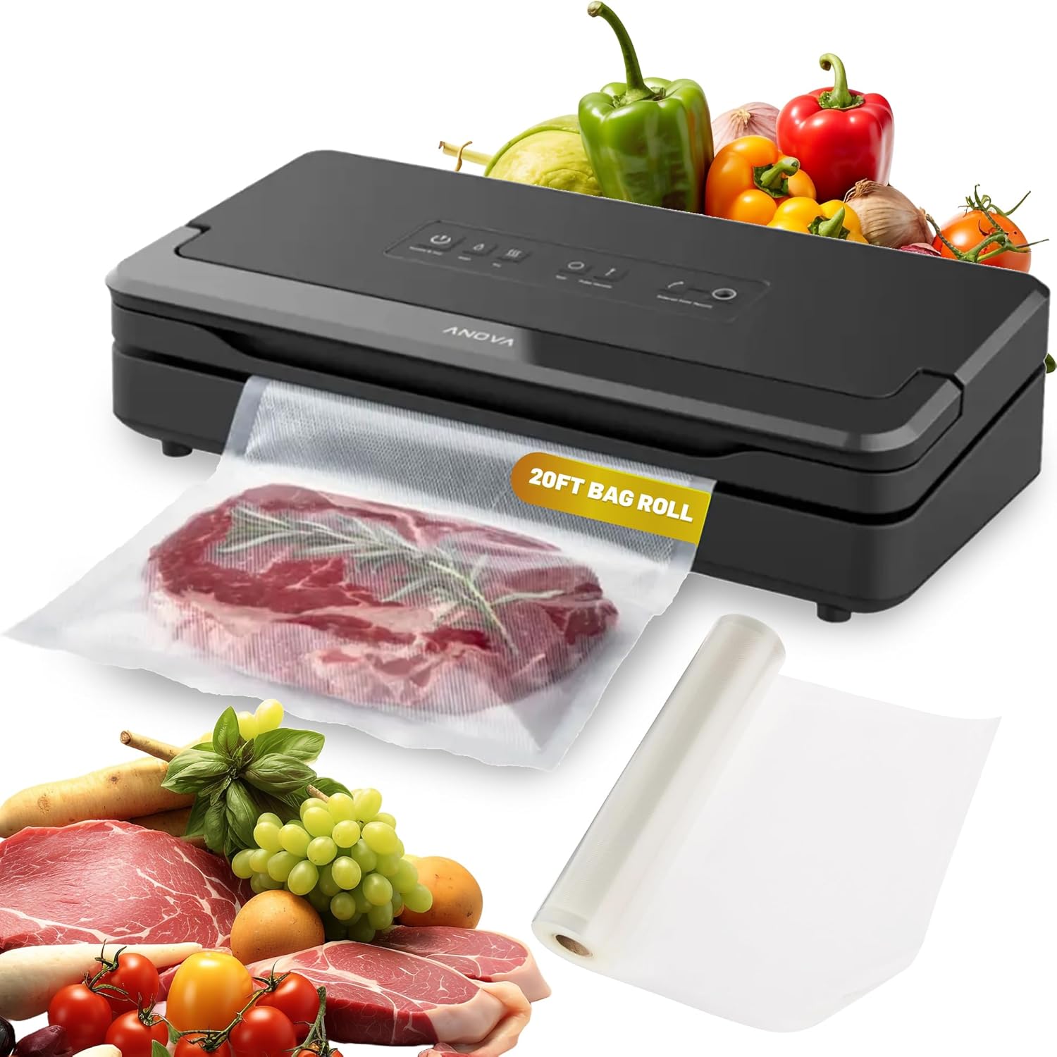 anova precision vacuum sealer pro
