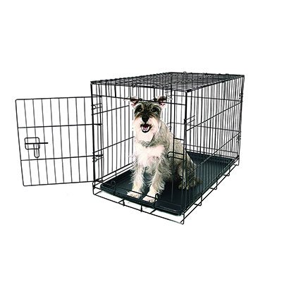 carlson secure compact