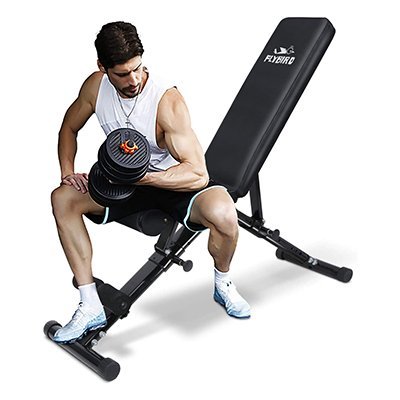 flybird weight bench 2020 version