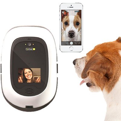 petchatz hd pet camera