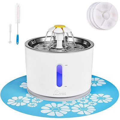 wonder creature cat water fountain